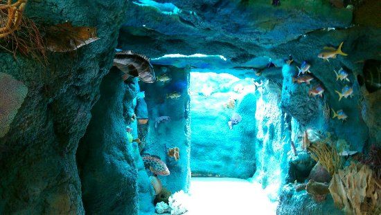 Museum en natuurcentrum Crane Point